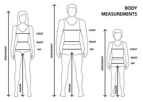 Vector illustration of contoured man, women and boy in full length with measurement lines of ...