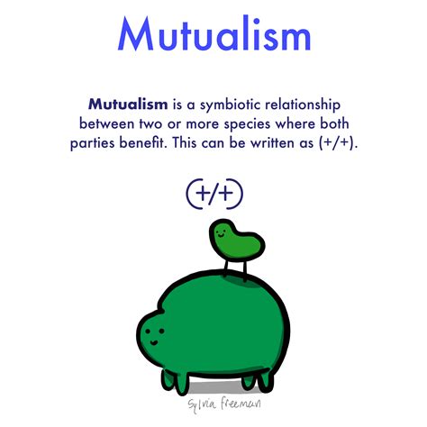 Mutualism — Definition & Examples - Expii