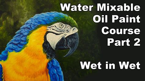 how to paint with water mixable oil paint part 2 wet in wet parrot animals | Oil painting ...