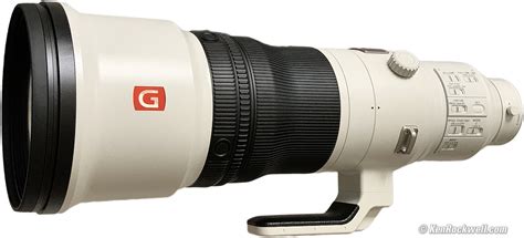 Sony 200-600mm Review