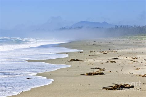 Coast Of Pacific Ocean In Canada Photograph by Elena Elisseeva