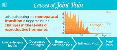 Joint Paint Symptom Information | Menopause Now