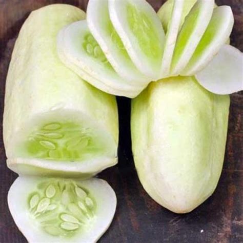 White Cucumber Seeds Garden Balcony Vegetable Fruit Cucumber See - SD96030 - $3.50 - SeedsDay