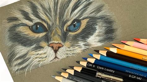 Cat eye colored pencil drawing – Artofit