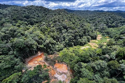 Amazon Deforestation Drops 64% in Brazil in April - EcoWatch