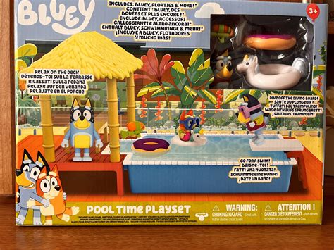 Bluey Pool Set Review – What's Good To Do