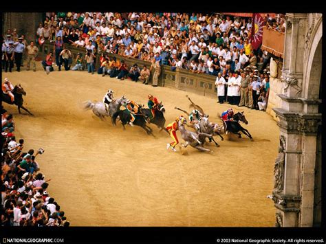 Travel to Europe: Palio di Siena "Horse Race" 2013 - Siena / Italy 2nd July & 16th August