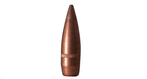 What are the different types of bullets? First Time Gun Buyer explains.