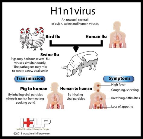 Pin on Infectious Diseases