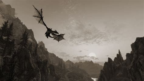 Gray dragon, The Elder Scrolls V: Skyrim, video games, dragon HD ...