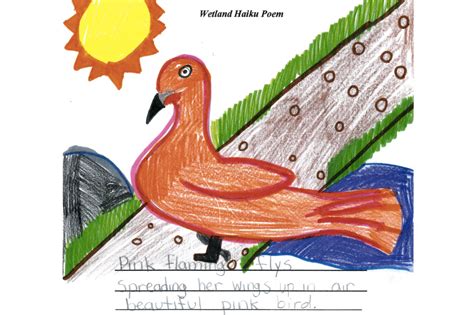 Haiku poems – Mongabay Kids