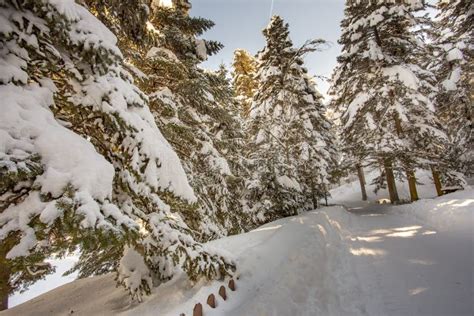 Golcuk / Bolu / Turkey, Winter Snow Landscape. Travel Concept Photo ...