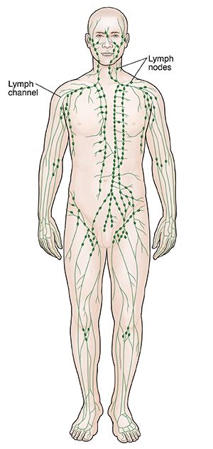 Lymphadenopathy | Saint Luke's Health System