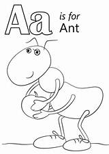 Letter A Is For Ant coloring Page  Free Printable Coloring Pages sketch template