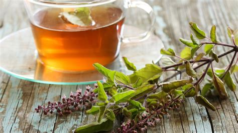 Benefits of tulsi tea in order to cure anxiety and stress | HealthShots