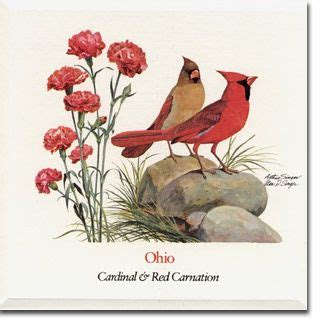 Ohio State Flower and State Bird