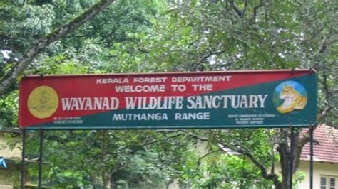 Wayanad Wildlife Sanctuary