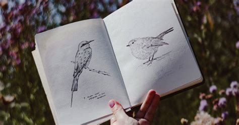 Nature Journaling: An Essential Guide (+8 Tips To Start)