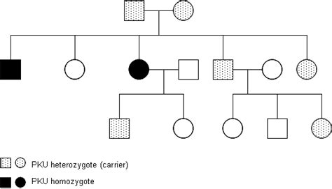 Example of a pedigree showing an autosomal recessive inheritance ...