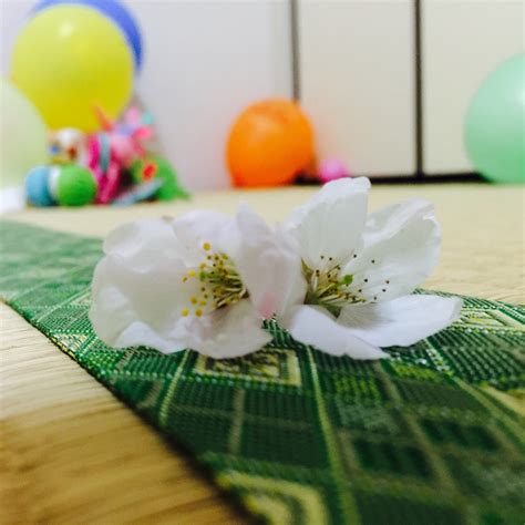 Free Images : white, petal, food, green, mat, floristry, flower bouquet ...