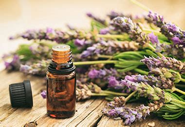 Aromatherapy: Do Essential Oils Really Work? | Johns Hopkins Medicine