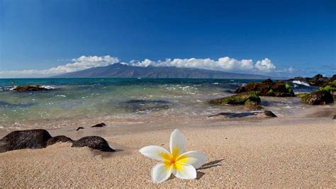 Aesthetic Hawaii Wallpapers - Top Free Aesthetic Hawaii Backgrounds - WallpaperAccess