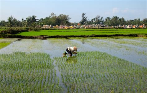 Photo of the Week: Vietnam Countryside