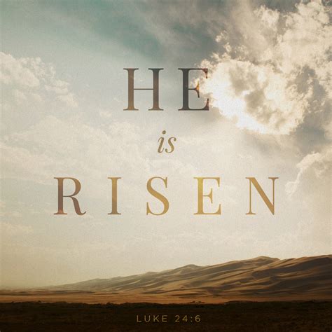 Plan For Reading The Bible: He is risen!