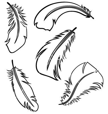 Free Feather Outline Cliparts, Download Free Feather Outline Cliparts png images, Free ClipArts ...