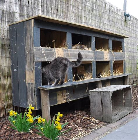 Feral cat house … | Feral cat house, Outdoor cat house, Outdoor cat shelter