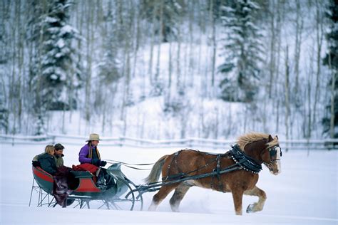 9 Amazing Day Trips From Salt Lake City | One horse open sleigh, Sleigh ride, Horses