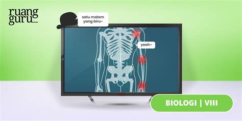 Macam-Macam Sendi pada Manusia dan Contohnya | Biologi Kelas 8