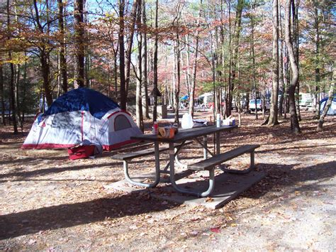 Best campsites at Cades Cove Campground | Cades cove, Adventure camping, Smoky mountains