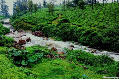 Valparai Tourism (2023): Best of Valparai, India - Tripadvisor