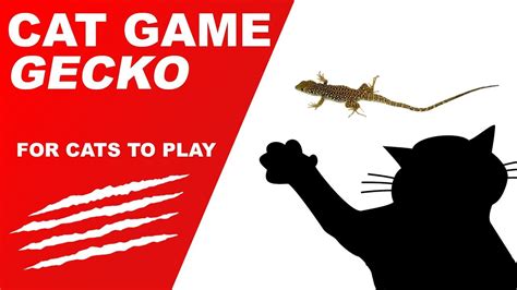 Gecko Cat Game - YouTube | Cat game, Cats, Kitty games