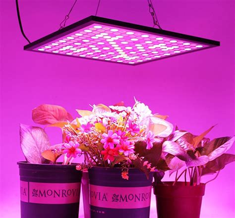 Top 10 Best Indoor Led Grow Lights Reviews in 2020