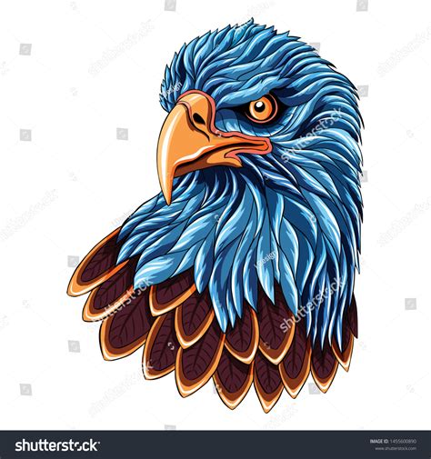 Eagle Illustration Vector