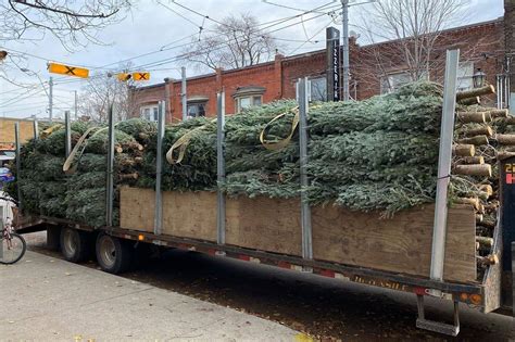 10 options for Christmas tree delivery in Toronto