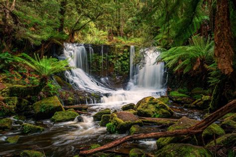 Waterfalls of Tasmania - Australian Photography