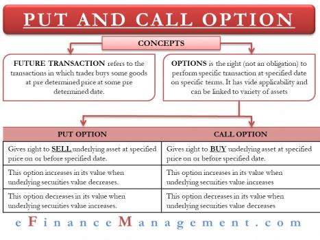 Put and Call Options - eFinanceManagement