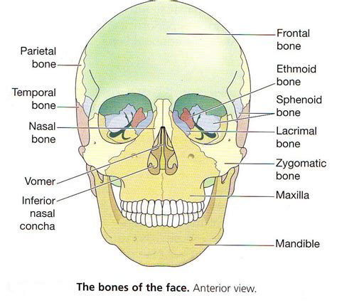 All 103+ Images The Face Or Front Of A Building Latest 10/2023