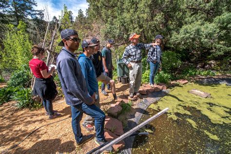 Colleges for Environmental Science | Western Colorado University