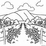 Colorful Vineyard Scene Coloring Page 70983 57024 sketch template