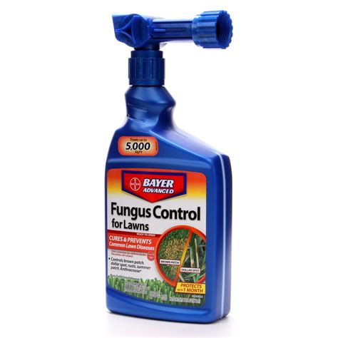 7 Best Fungicide For Brown Patch - Read A Topic Today