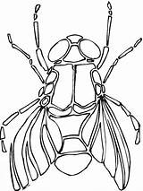 Fly coloring page  Animals Town color Sheet Printable sketch template
