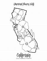 California Coloring Pages  Free Printable For Kids sketch template