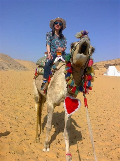 Camel Riding - Luxor Local Guide - Enjoy Egypt Tours