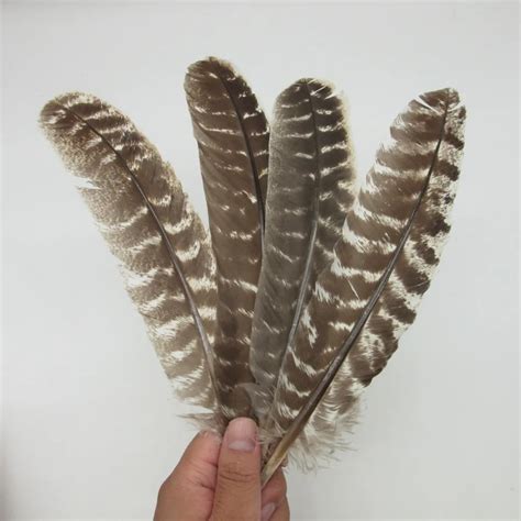 Wholesale Real Natural Eagle feathers 16 18 Inch(20 40CM)Top Quality ...