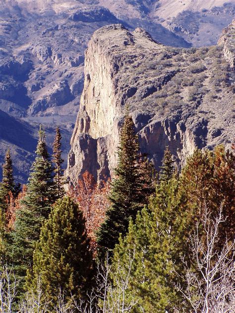 Jarbidge Wilderness Gallery - Friends of Nevada Wilderness