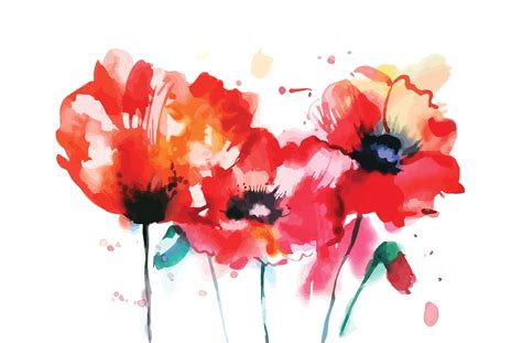 Watercolor poppy flower | Watercolor poppies, Flower drawing design ...